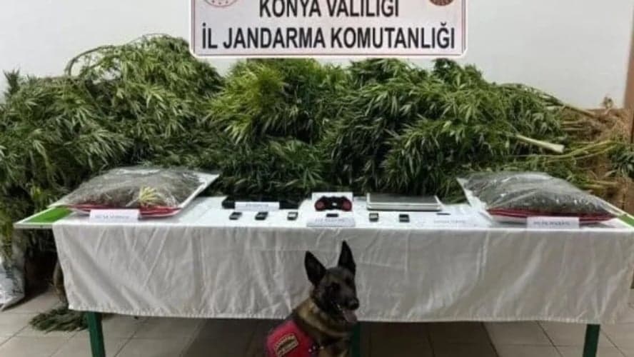 Çiftliğinde uyuşturucu ele geçirilen avukat beraat etti