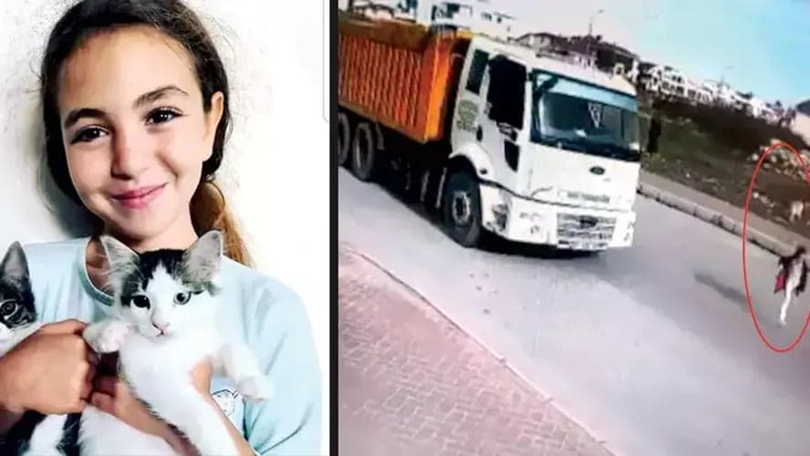Köpekten kaçarken ölümde kamu 4 milyon TL tazminat ödeyecek!
