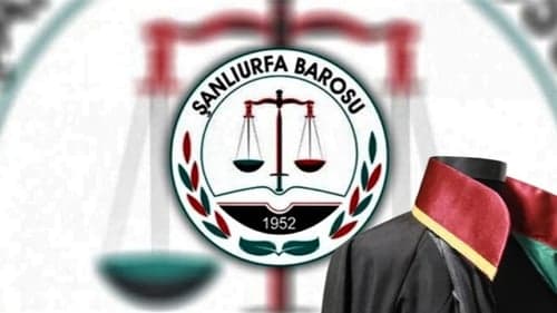 Şanlıurfa Barosu’ndan Kadın Hakları Davalarına Dair Çarpıcı Rapor: “Baroların müdahilliği cezasızlıkla mücadelede kritik öneme sahip”