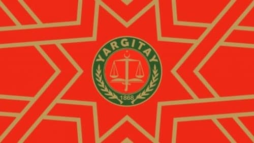 Yargıtay 2. Ceza Dairesi'nin 2024/1034 E., 2024/13121 K. sayılı kararı