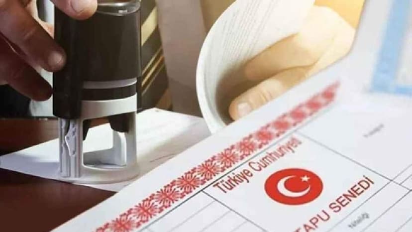 Tapuda online azil dönemi başladı