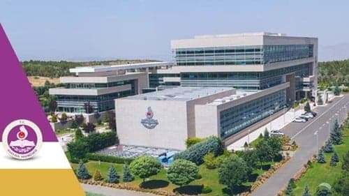 AYM'nin 2024/70460 başvuru numaralı kararı