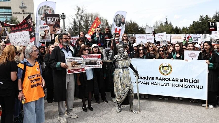 TBB Hayvan Hakları Komisyonu: “Yerinde Yaşat” İlkesi; Bilimsel, İnsani ve Hukuki Açıdan En Makul ve Sürdürülebilir Yöntemdir
