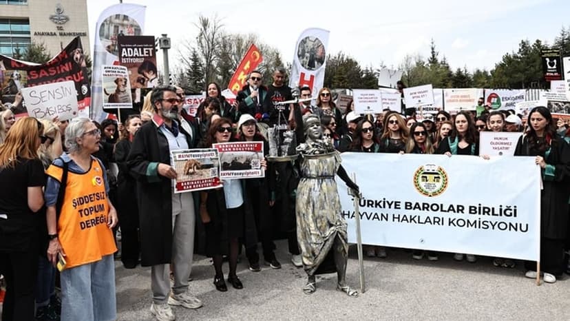 TBB Hayvan Hakları Komisyonu: “Yerinde Yaşat” İlkesi; Bilimsel, İnsani ve Hukuki Açıdan En Makul ve Sürdürülebilir Yöntemdir